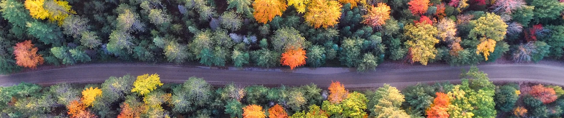 Grayling, Michigan fall drone shot